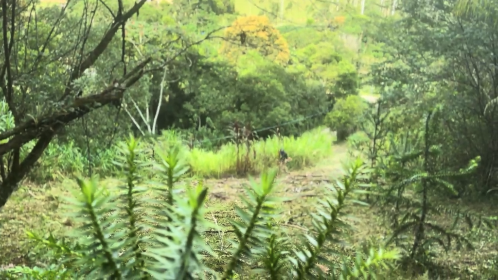 Um território vivo de regeneração, cultivo e aprendizado.